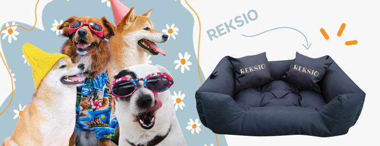 fészkek