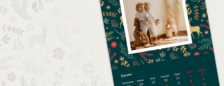 banner-kép