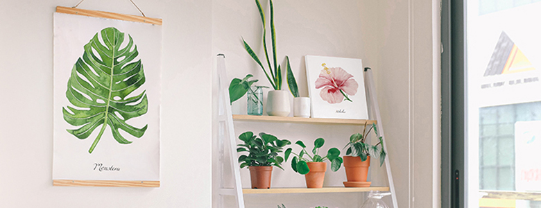 banner-kép