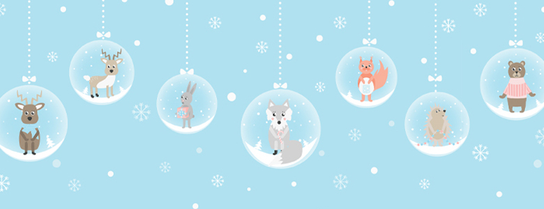 banner-kép